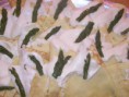 /album/foto-primi-piatti/crespelle-con-asparagi-freschi-jpg/